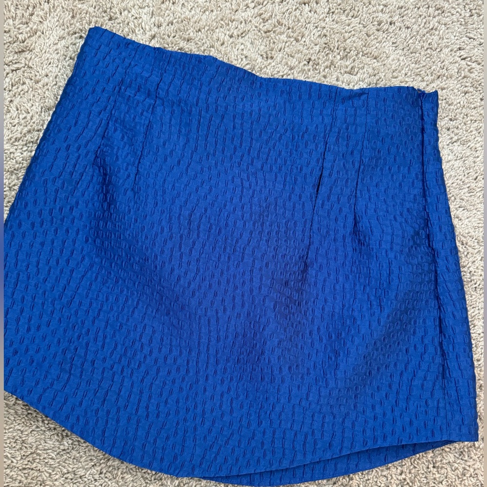 Zara skirt